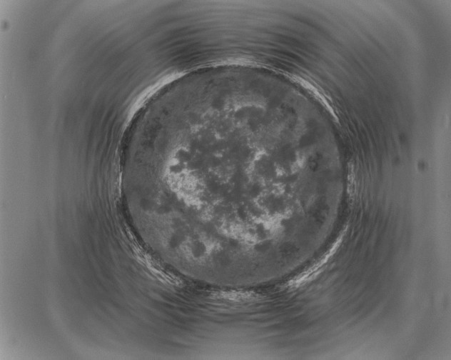 X0000087671117200705181658