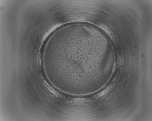 X0000087671118200705181658