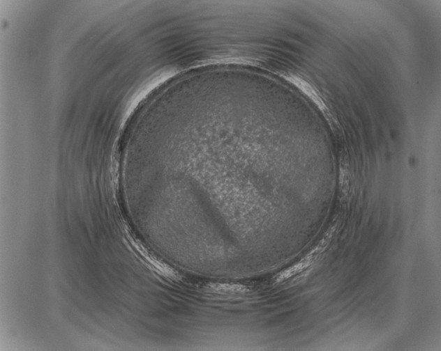 X0000087671119200705181658