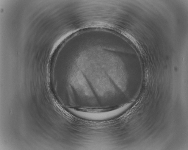 X0000087671120200705181658