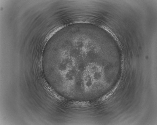 X0000087671121200705181658