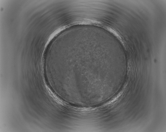 X0000087671122200705181658