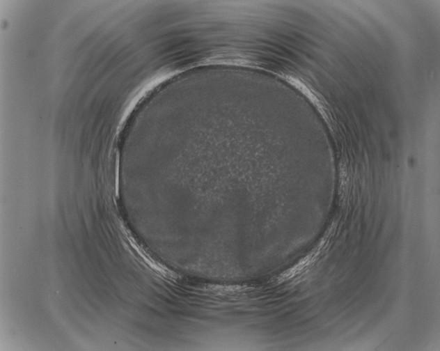 X0000087671123200705181658