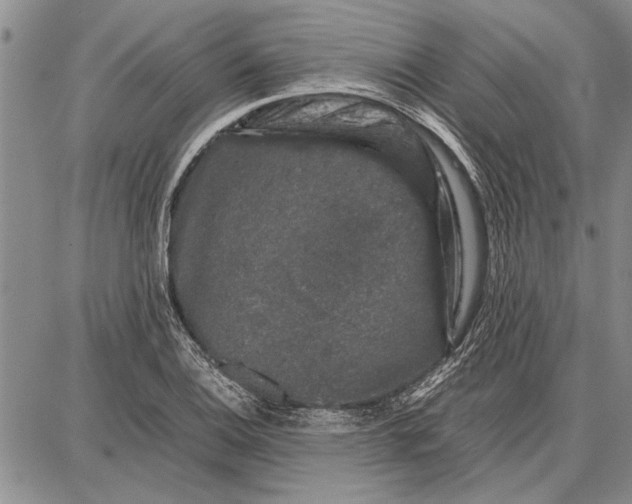 X0000087671124200705181658