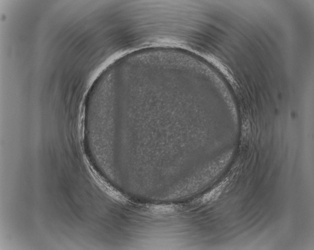 X0000087671126200705181658