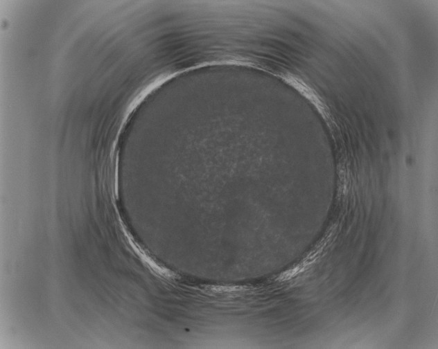 X0000087671127200705181658