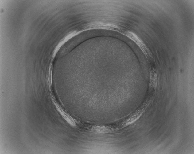 X0000087671128200705181658