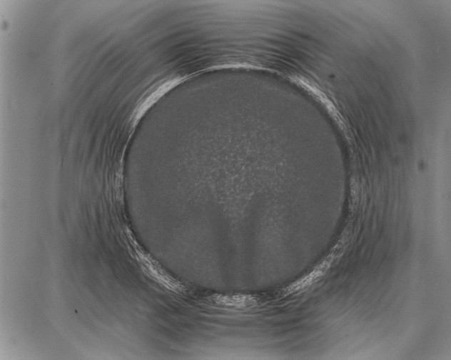 X0000087671129200705181658