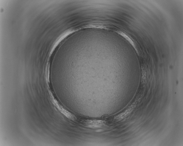 X0000087671131200705181658