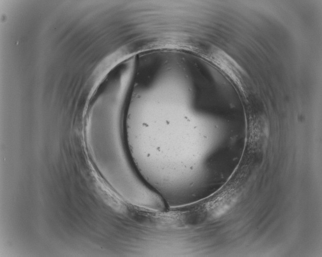 X0000087671132200705181658