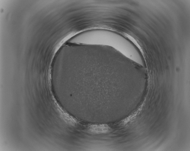 X0000087671133200705181658