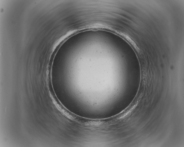 X0000087671134200705181658