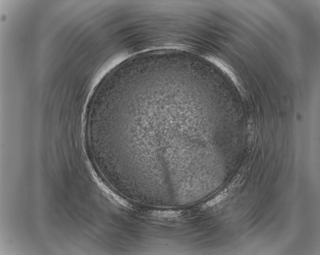 X0000087671135200705181658