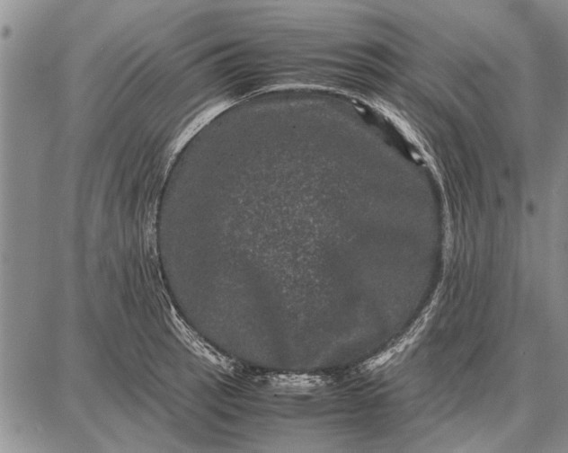 X0000087671137200705181658