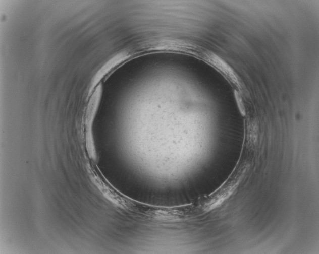 X0000087671138200705181658