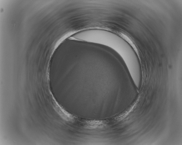 X0000087671141200705181658