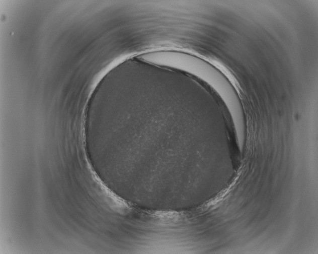 X0000087671142200705181658