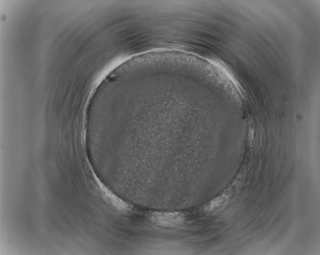 X0000087671143200705181658