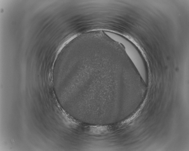 X0000087671145200705181658