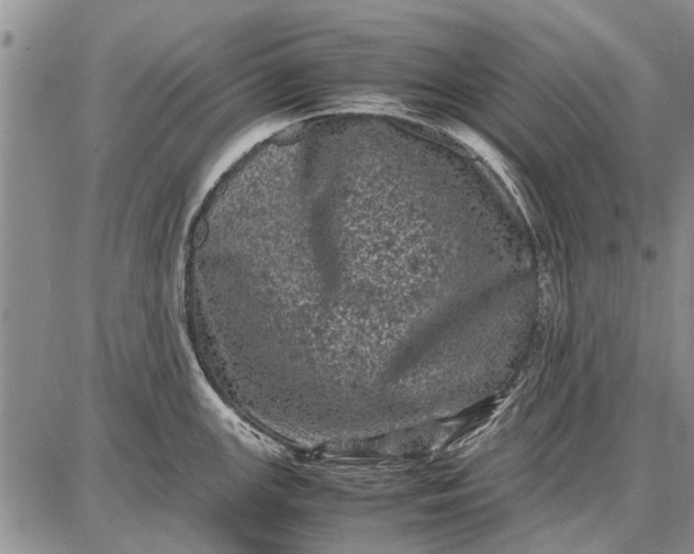 X0000087671147200705181658