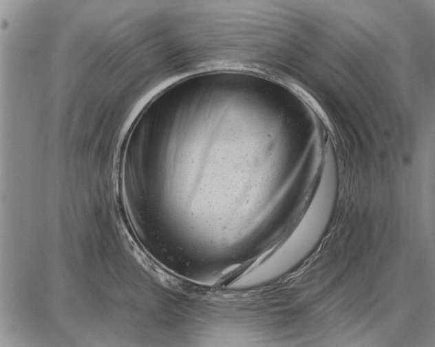 X0000087671148200705181658