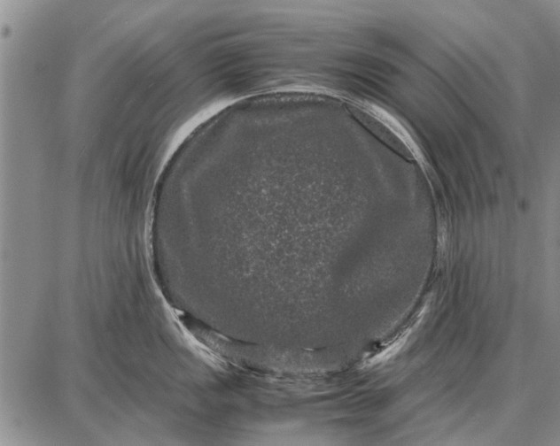 X0000087671149200705181658