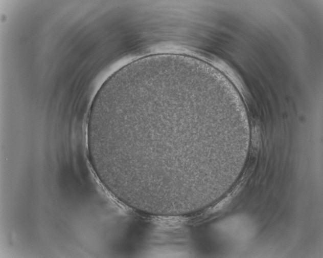 X0000087671150200705181658