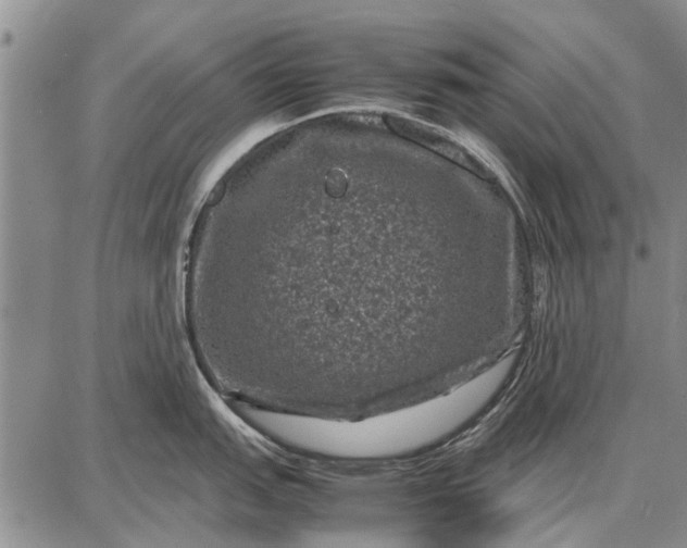 X0000087671151200705181658