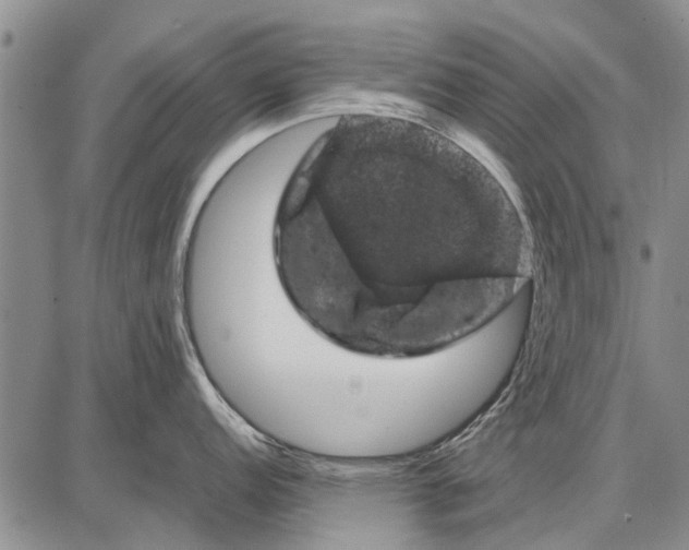 X0000087671152200705181658