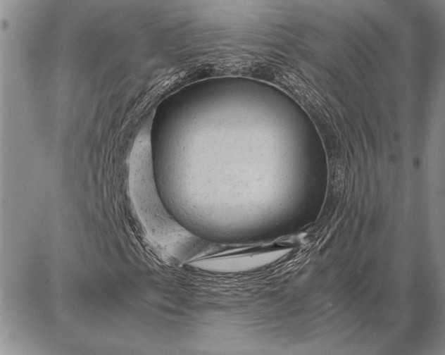 X0000087671153200705181657