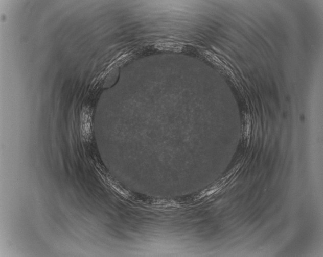 X0000087671154200705181657