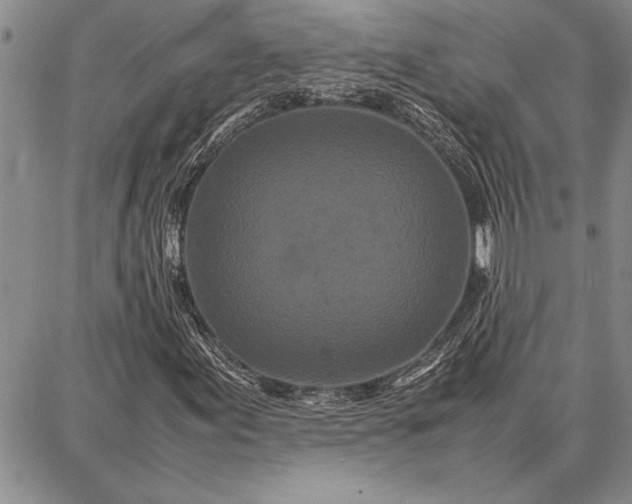 X0000087671155200705181657