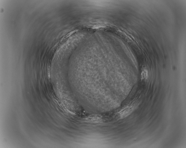 X0000087671156200705181657