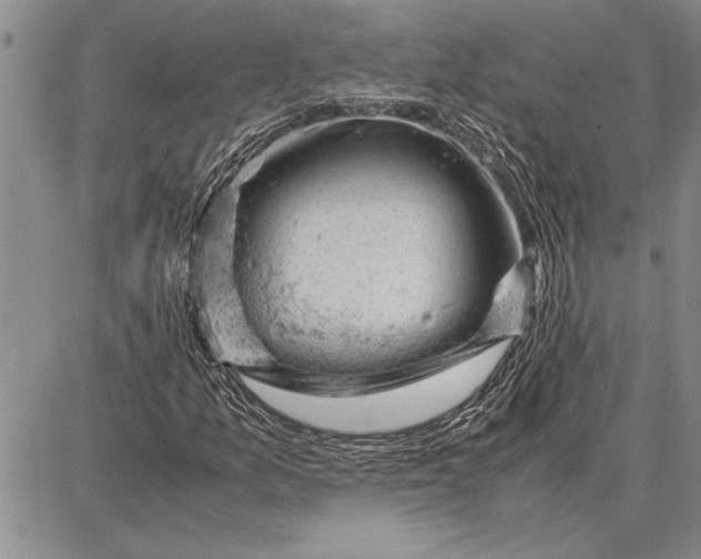 X0000087671157200705181657