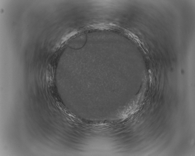 X0000087671158200705181657