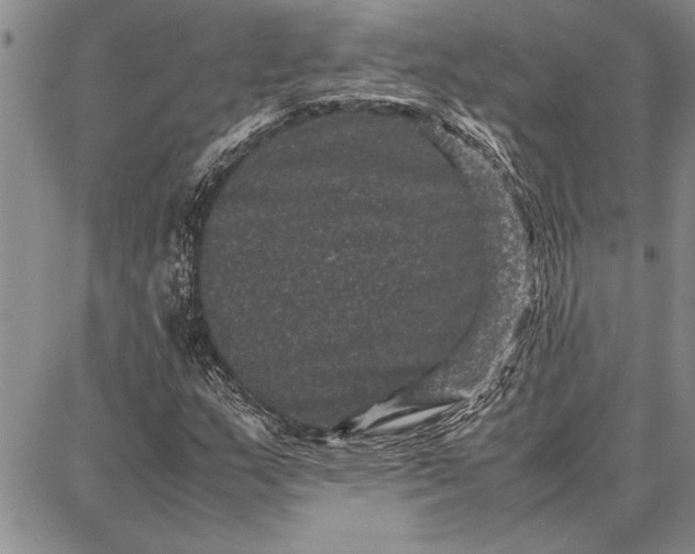 X0000087671159200705181657