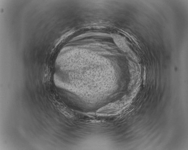 X0000087671160200705181657