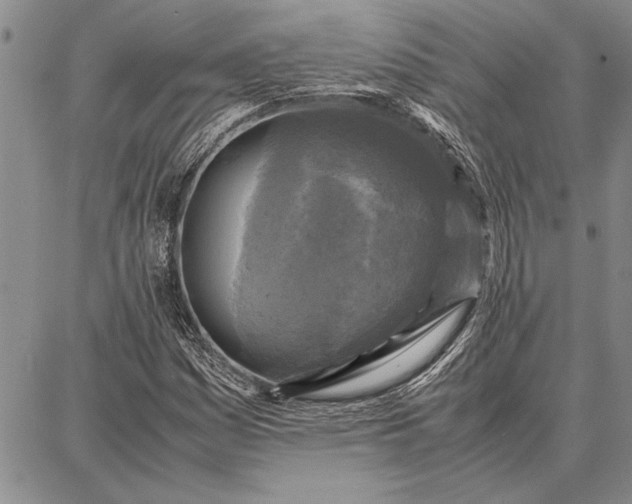 X0000087671161200705181657