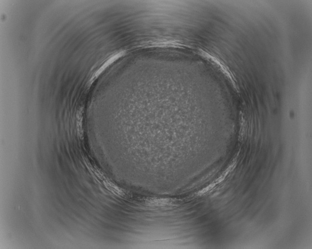 X0000087671162200705181657