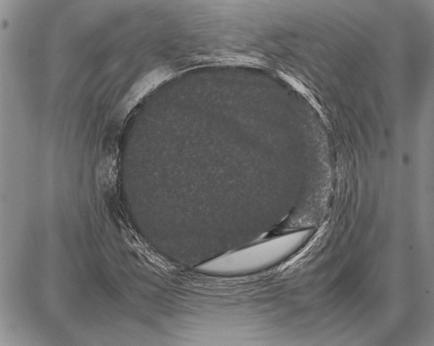 X0000087671163200705181657