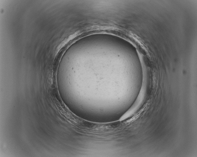 X0000087671165200705181657