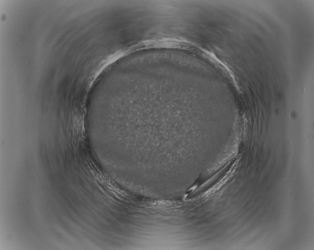 X0000087671166200705181657