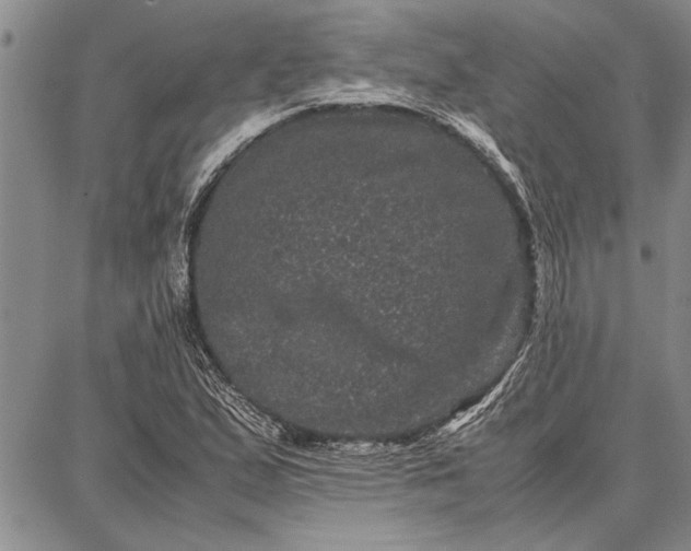 X0000087671167200705181657