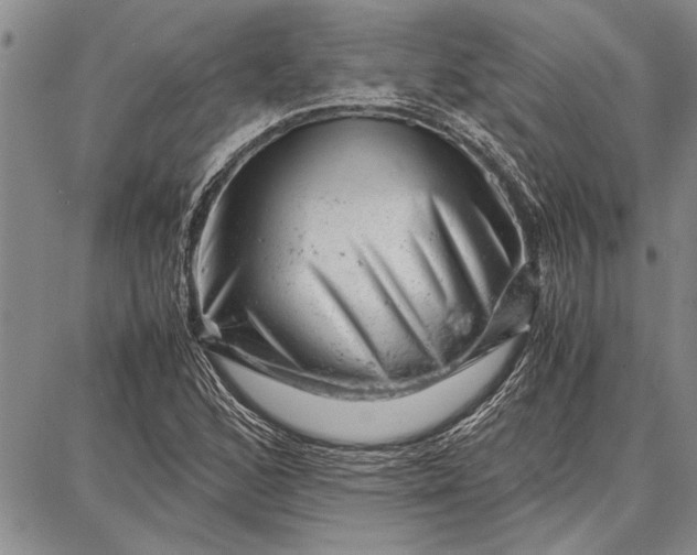 X0000087671168200705181657