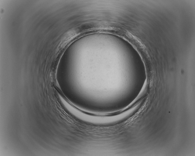 X0000087671169200705181657