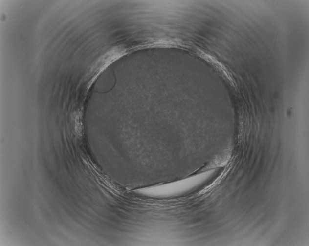 X0000087671170200705181657