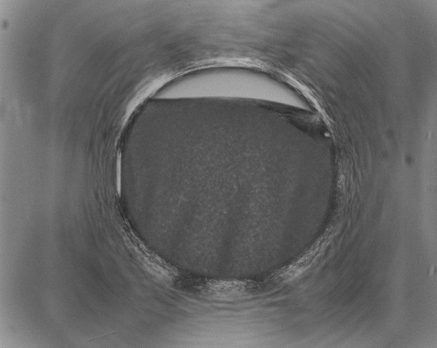 X0000087671171200705181657