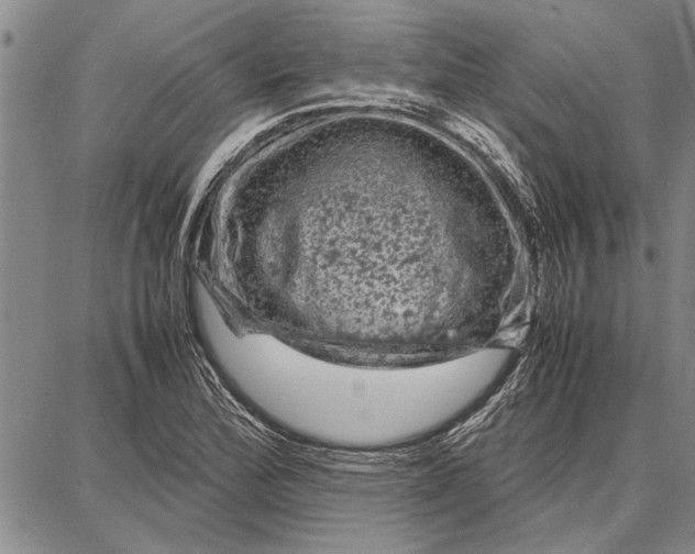 X0000087671172200705181657