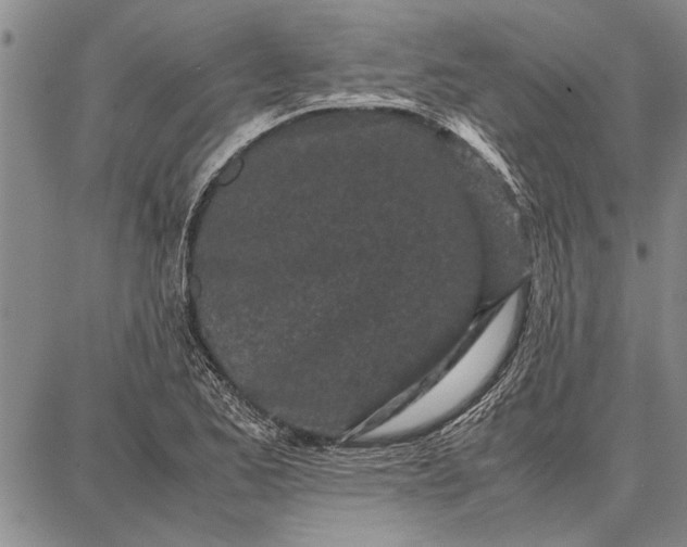 X0000087671173200705181657