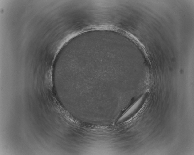 X0000087671174200705181657